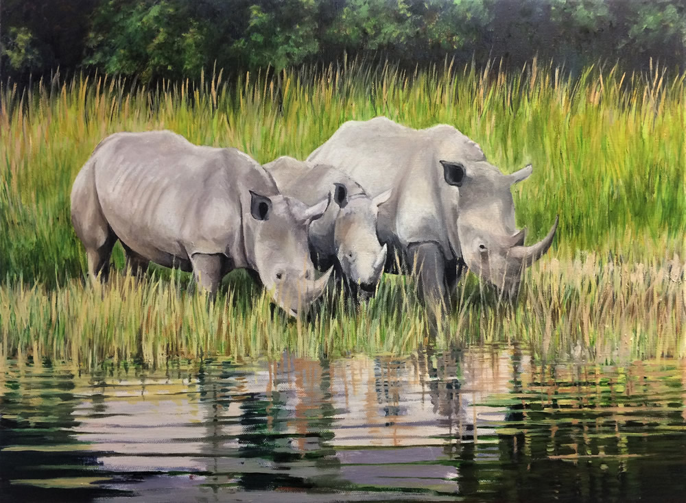 The Rhinos