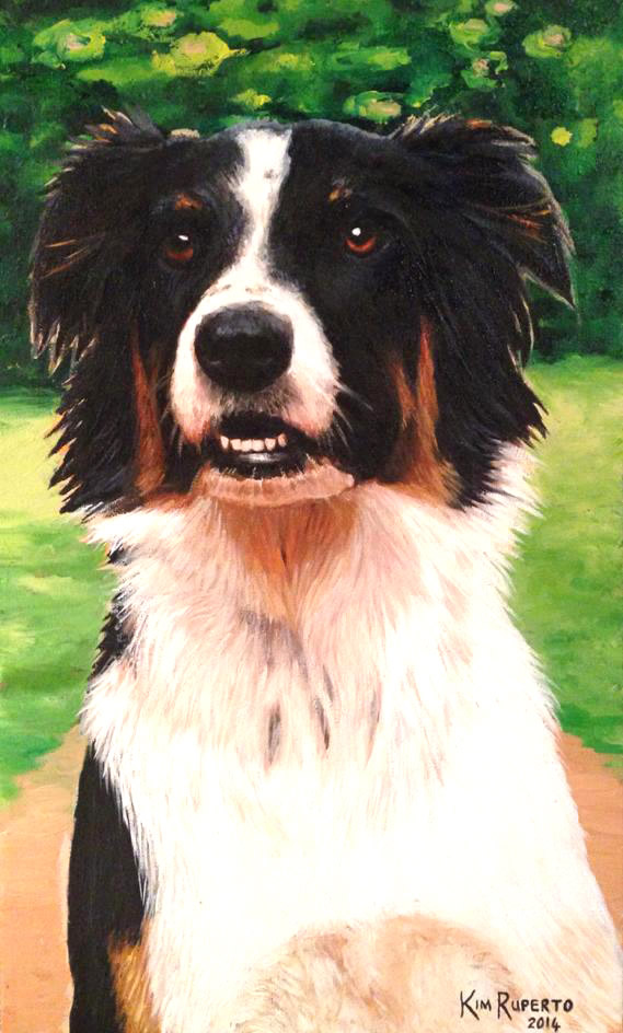 Pet Portraits